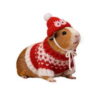 Pull Hamster et Gerbille - Pull pulltricoté Animal