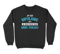 Pull homme je suis bipolaire M