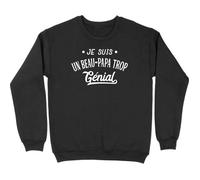 Pull homme je suis un beau-pap XL