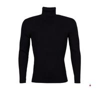 Pull homme - PEAK MOUNTAIN - CALFY - Col roulé - Bleu - 36% laine - 36% acrylique - 28% polyamide L