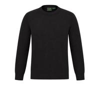 Pull Homme Timberland WILLIAM RIVER S