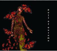 Pull of Autumn - Beautiful Broken World