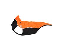 Pull pour chien sans cintre Back on Track Eddie Orange 40 cm
