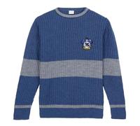Pull tricoté - Cerda - Harry Potter - Bleu - Adulte - Mixte S
