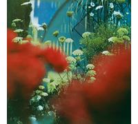 Pulled Apart By Horses - Haze, The [Import]