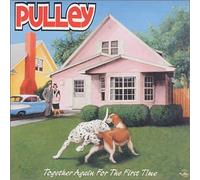 Pulley - Together Again for The First Time