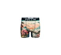 Caleçons hommes Pullin FASHION 2 Multicolore EU L