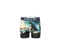 Caleçons hommes Pullin FASHION 2 Multicolore EU S