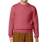 Pullover Enfant Hiver, Pull décontracté pour Enfants, garçons et Filles, Couleur Unie, col Rond, Tricot, Doux, Confortable, Chaud, vêtements d'hiver pour Tout-Petits