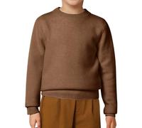 Pulls Col Rond Mixte Enfant 2-12Ans Pull en Tricoté, Automne Et Hiver Doux Confortable Manches Longues DéContracté Thermique Quotidien ExtéRieur VêTements pour Enfants Maison