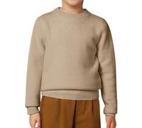 Pulls Col Rond Mixte Enfant 2-12Ans Pull en Tricoté, Automne Et Hiver Doux Confortable Manches Longues DéContracté Thermique Quotidien ExtéRieur VêTements pour Enfants Maison