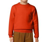 Pulls Col Rond Mixte Enfant 2-12Ans Pull en Tricoté, Automne Et Hiver Doux Confortable Manches Longues DéContracté Thermique Quotidien ExtéRieur VêTements pour Enfants Maison