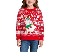 Pulls Tricotés de Noël Mixte Enfant épais à Manches Longues Manches Longues Chaud Fleur Broderie Hiver Chaud Tricot Premier Anniversaire d'anniversaire