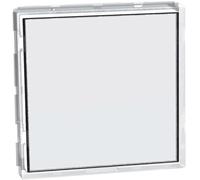 Pulsante targa portanome 3A 250Vacm Illuminato Bticino J4040