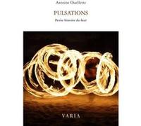 Pulsations - petite histoire du beat Antoine Ouellette (Auteur)