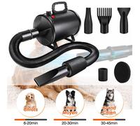 Pulseur Chien 2800W, Souffleur Chien Séchoir Sèche-Poils Toilettage Sèche-Cheveux, Température réglable avec 4 Buses, 2.3M Tuyau