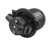 Pulseur d'air habitacle THERMOTEC DDR025TT pour DOKKER Monospace (KE_) 1.5 2018-
