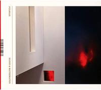 Pulshar - Blood & Mathematics [Import]