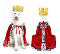 Puluole Costume d'Halloween pour chien de grande taille - Costume d'Halloween amusant pour animal de compagnie, vêtements pour chien et chat (taille M)