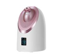 Pulvérisateur à vapeur professionnel pour le visage, soins personnels, Portable, Nano, Mini ionique, pour le visage, pour la beauté et le Spa,A