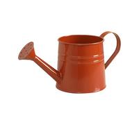 | Pulvérisateur en fer de 1 L avec poignée à long bec - Pour d'intérieur, performance parfaite comme un jardinage ussi pour décorer jardin, cour, pelouse, patio, allée,