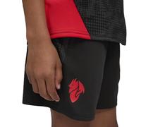 PUMA AC Milan Pockets Short d'entraînement pour enfant, noir, 176 ans