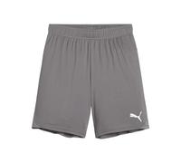 PUMA Adultes Unisexes Teamgoal Jr Short en Maille, Cast Iron-puma White, 164 EU