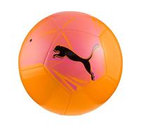 PUMA Balle Big Cat