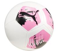 PUMA Big Cat ballon de training Phenomenal blanc F01 5