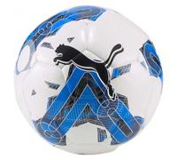 PUMA Ballon de Foot ORBITA 6 MS LND AW22-083778-04