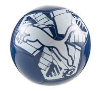 Puma Ballon De Football Big Cat