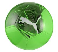 Puma Ballon De Football Big Cat