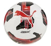 PUMA Ballon d'entraînement Unisexe TeamFINAL6 MS, Blanc, Taille Unique UK