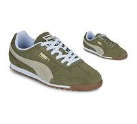 Puma Baskets basses Arizona SD in Kaki 39
