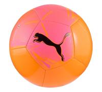 PUMA Big Cat Miniball Balles d'entraînement Mixte (lot de 1)