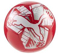 PUMA Chat Balles d'entraînement Mixte