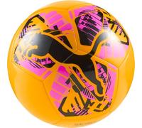 PUMA Chat Balles d'entraînement Mixte