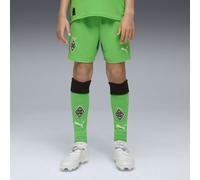 PUMA Chaussettes 25/26 Borussia Mönchengladbach Enfant et Adolescent, Vêtements, Vert, 7-8Y 7-8Y
