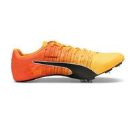 Puma Chaussures De Piste Evospeed Future Fast