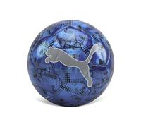 PUMA Cup Graphic Ball Balles d'entraînement Mixte