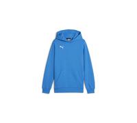 Puma Enfant Teamgoal Casuals Hoody Sweatshirt Pullover 658619 Bleu