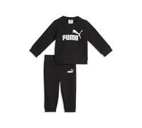 PUMA Ensemble ESS No 1 Logo TR INF
