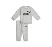 PUMA Ensemble ESS No 1 Logo TR INF