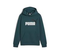 Vêtements Puma Ess+ 2 Col Big Logo Hoodie Fl B pour Accessoires 10A Vert