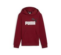 PUMA ESS+ 2 Col Big Logo Hoodie FL B, Transpirer Garçons, Intense Red, 586987
