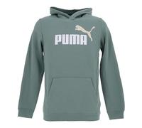 Puma ESS 2 Color No. 1 Logo Hoodie FL B, Sweats à Capuche Garçon, Green Moon,