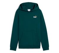 Sweat-shirt enfant garcons Puma ESS 2 COLOR Small No. 1 Logo Hoodie FL Vert 12 ans