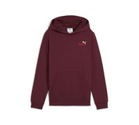Puma Ess 2 Color Small No. 1 Logo Hoodie FL B Sweats à Capuche Garçon (Lot de 1)