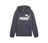 PUMA ESS Big Logo Hoodie FL B, Transpirer Garçons, Galactic Gray, 586965