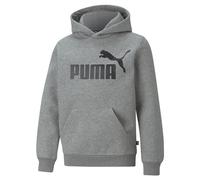 Puma Sweat à capuche Homme Essentials Big Logo Fleece – Gris moyen chiné – S